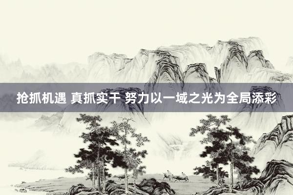 抢抓机遇 真抓实干 努力以一域之光为全局添彩