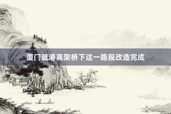 厦门疏港高架桥下这一路段改造完成