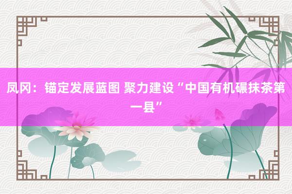 凤冈：锚定发展蓝图 聚力建设“中国有机碾抹茶第一县”