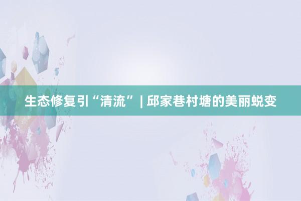 生态修复引“清流” | 邱家巷村塘的美丽蜕变