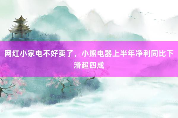 网红小家电不好卖了，小熊电器上半年净利同比下滑超四成