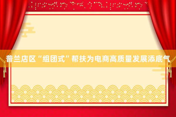 普兰店区“组团式”帮扶为电商高质量发展添底气