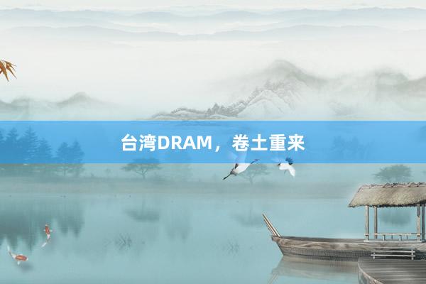 台湾DRAM，卷土重来