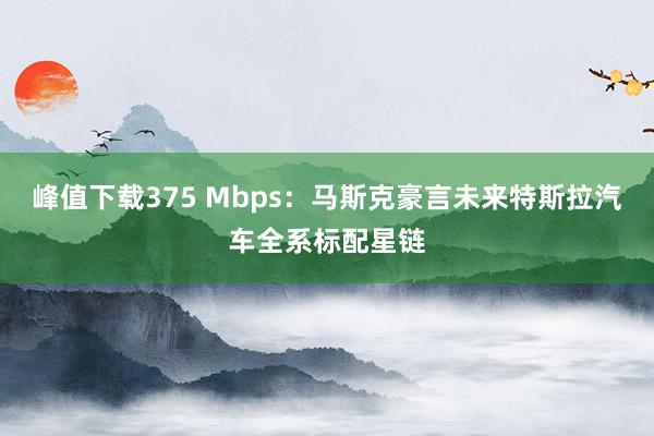 峰值下载375 Mbps：马斯克豪言未来特斯拉汽车全系标配星链
