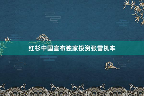 红杉中国宣布独家投资张雪机车