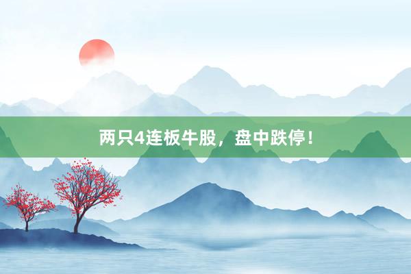 两只4连板牛股，盘中跌停！