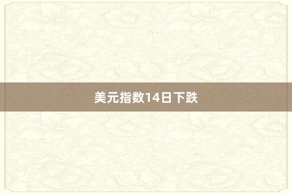 美元指数14日下跌