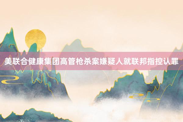 美联合健康集团高管枪杀案嫌疑人就联邦指控认罪