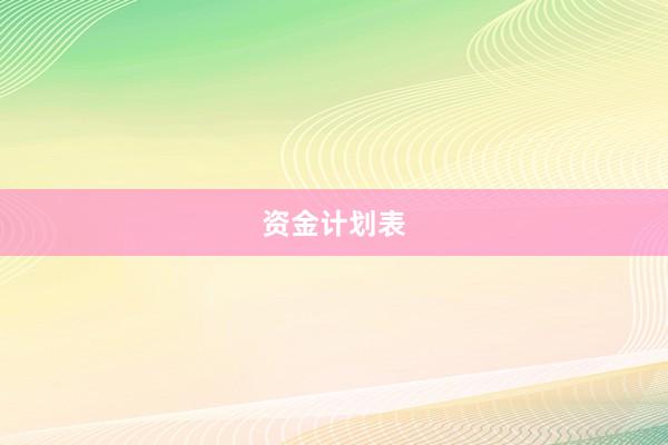 资金计划表