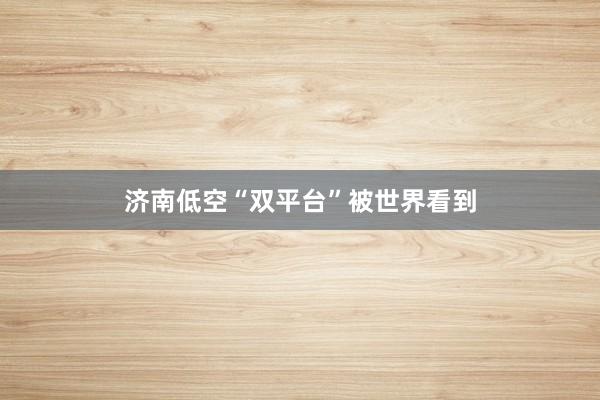 济南低空“双平台”被世界看到