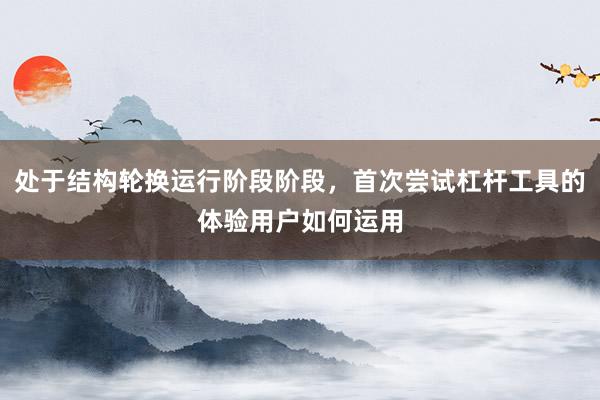 处于结构轮换运行阶段阶段，首次尝试杠杆工具的体验用户如何运用