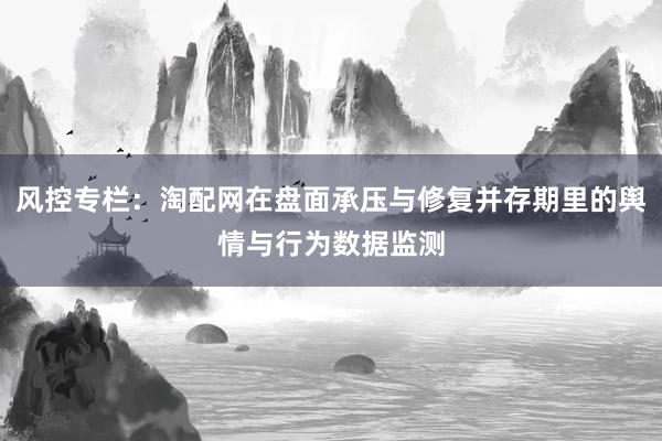 风控专栏：淘配网在盘面承压与修复并存期里的舆情与行为数据监测