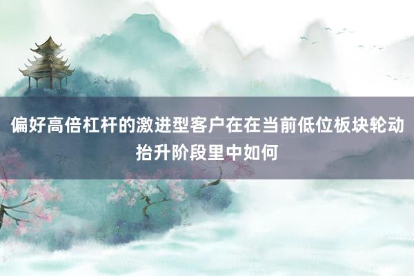 偏好高倍杠杆的激进型客户在在当前低位板块轮动抬升阶段里中如何