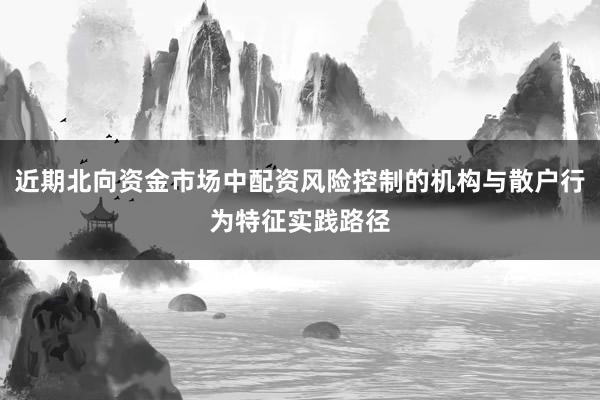 近期北向资金市场中配资风险控制的机构与散户行为特征实践路径