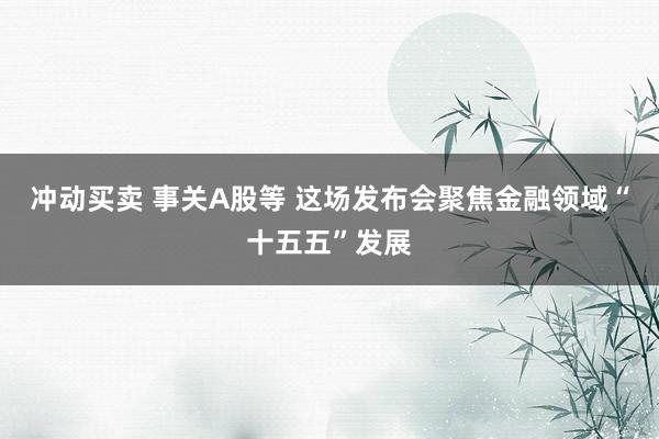 冲动买卖 事关A股等 这场发布会聚焦金融领域“十五五”发展