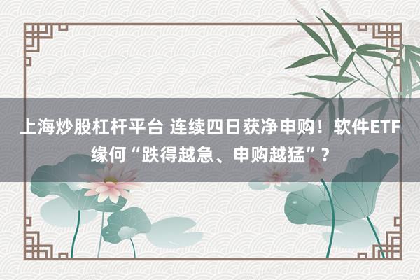 上海炒股杠杆平台 连续四日获净申购！软件ETF缘何“跌得越急、申购越猛”？