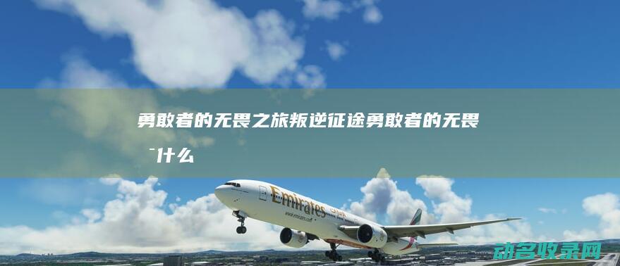 勇敢者的无畏之旅 叛逆征途 (勇敢者的无畏是什么歌)