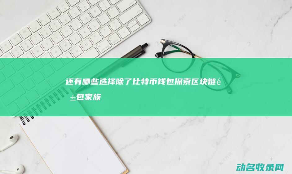 还有哪些选择 除了比特币钱包 探索区块链钱包家族 (还有什么选择)