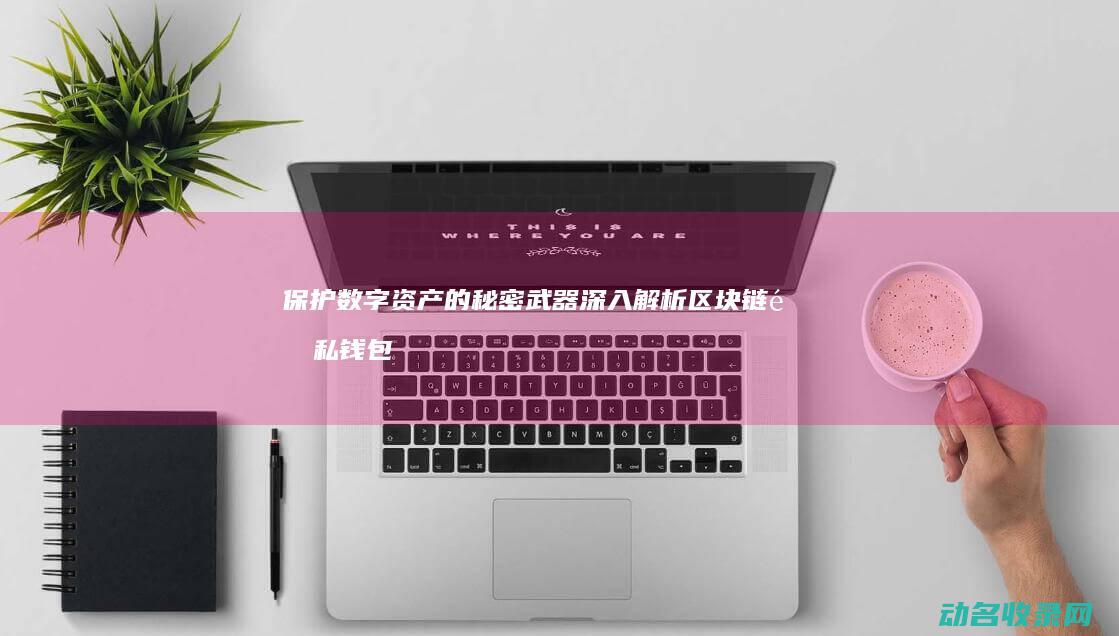 保护数字资产的秘密武器 深入解析区块链隐私钱包 (保护数字资产的措施)