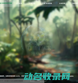 原创包装的开发